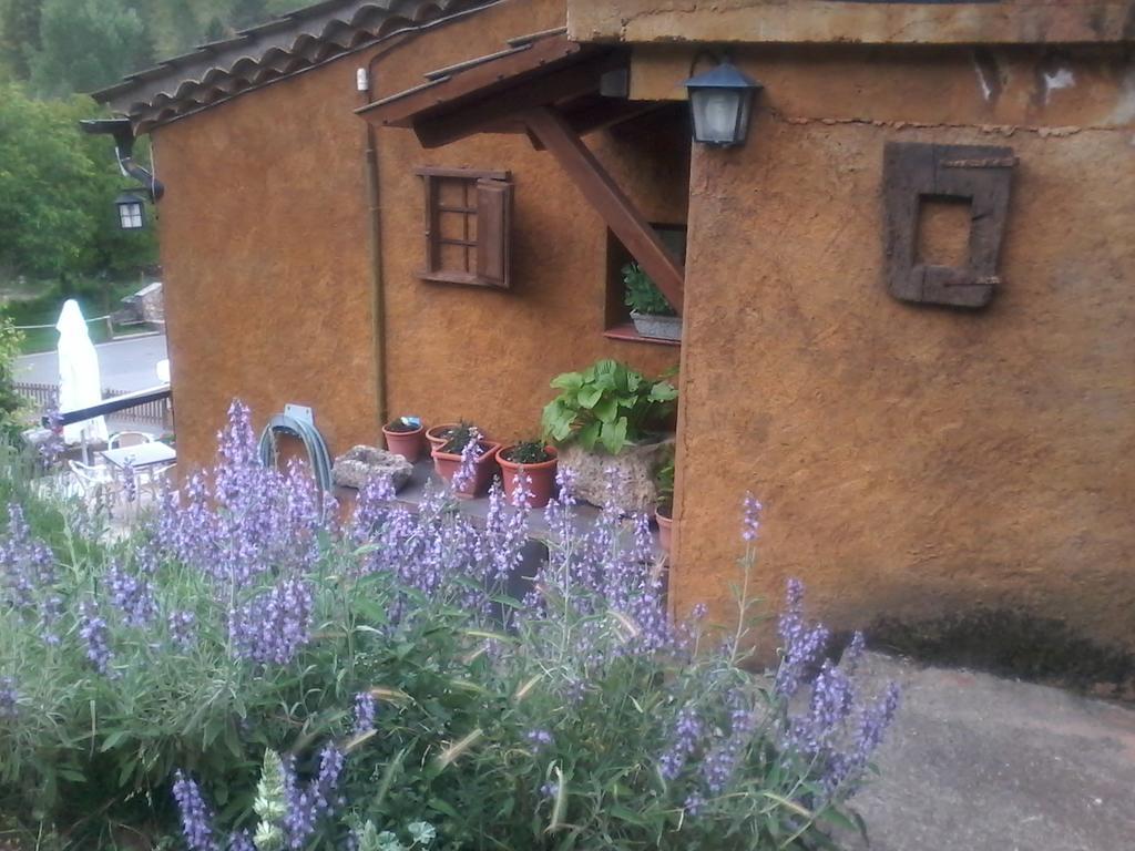 Casa Rural Moli De Guest house *
