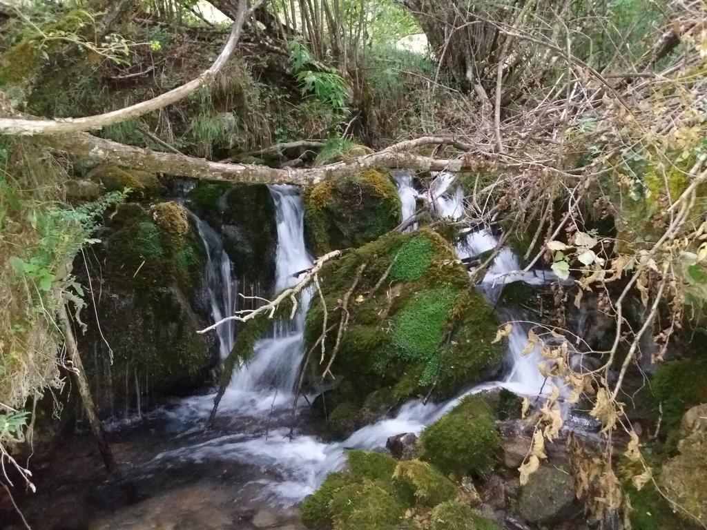 Pensión Molí De Fòrnols